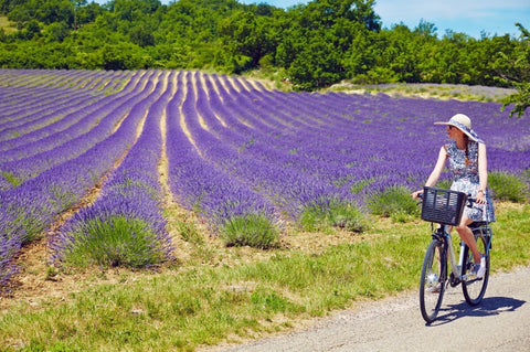 The French Lifestyle, Especially In Provence